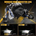 DMEX D2S 6000K Cool White HID Headlight Bulbs