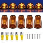 Roof Light Cover with 5 Amber LED Bulbs
