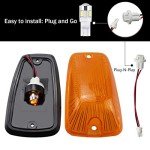 Roof Light Cover with 5 Amber LED Bulbs