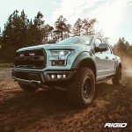 RIGID INDUSTRIES Amber Light Cover for D-Series