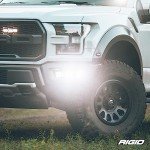 RIGID INDUSTRIES Amber Light Cover for D-Series