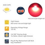 LED Dashboard Gauge Indicator Lights for Jeep ZJ