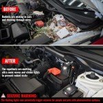 Loraffe Ultrasonic Rodent Repellent for Vehicles
