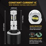 PHINLION 880 LED Fog Light Bulbs - 6000K White