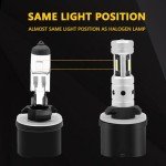 PHINLION 880 LED Fog Light Bulbs - 6000K White