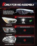 Torchbeam D3S 8000K Xenon HID Bulbs - 2 Pack