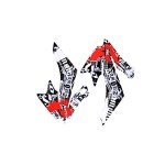 ZXTDR Graphic Sticker Kit for CRF50 Dirt Bike