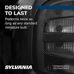 Sylvania SilverStar 921 Mini Bulb - Brighten Up!