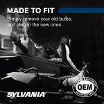 Sylvania SilverStar 921 Mini Bulb - Brighten Up!