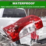 Ford F250 F350 Super Duty Rear Tail Light Assembly