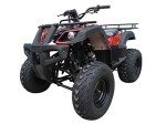 DONGFANG 150cc Auto ATV with Reverse for Kids