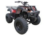 DONGFANG 150cc Auto ATV with Reverse for Kids