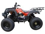 DONGFANG 150cc Auto ATV with Reverse for Kids