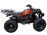 DONGFANG 150cc Auto ATV with Reverse for Kids