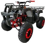 200cc Big ATV Quad for Adults and Youth