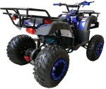 200cc Big ATV Quad for Adults and Youth