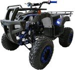 200cc Big ATV Quad for Adults and Youth