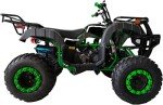 200cc Big ATV Quad for Adults and Youth