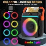 Portable Bluetooth Karaoke Machine with 2 Microphones
