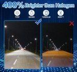 H11/H9/H8 LED Headlight & Fog Light Bulbs
