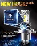 Termitor H4 Fog Light Bulbs - 800% Brighter