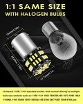 10-Pack LED Bulbs for RV and Camper Interior