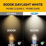 H11 Halogen Headlight Bulbs - 5000K White, 2 Pack