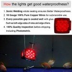 LED Submersible Trailer Lights for Boats and Trucks