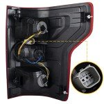 Boine F150 Right Tail Light for 2018-2020