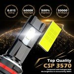 Replacement Halogen Headlight Bulbs for Honda TRX
