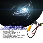 BESULEN 9006 Car LED Resistor Kit - 2PCS
