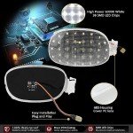 D-Lumina LED Dome Light Cover for Dodge Ram