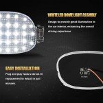 D-Lumina LED Dome Light Cover for Dodge Ram
