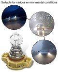 AUGREX 4300K PSX24W Fog Light Bulbs - 2 Pack
