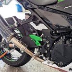 LEDISHUN Foot Pegs and Heel Guard for Kawasaki
