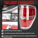 Ford F150 Tail Light Assembly (2009-2014)