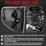 Ford F150 Tail Light Assembly (2009-2014)