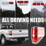 Ford F150 Tail Light Assembly (2009-2014)