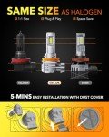 OXILAM H11 6500K Fog Light Bulbs - Pack of 2