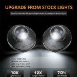 Bestview LED License Plate Light for Ford Vehicles
