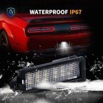 LED License Plate Light for Dodge & Jeep Models