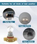 PSX24W 4300K Fog Light Bulbs - 2 Pack