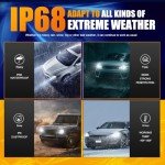 Ultra Bright H7 Fog Light Bulbs - Pack of 2