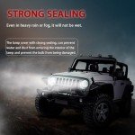 LED Headlight Bulbs & 7 Inch Round Housing Kit
