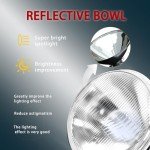 LED Headlight Bulbs & 7 Inch Round Housing Kit