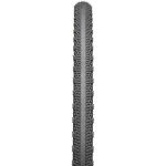 Teravail Washburn 700x42 Light Bike Tire