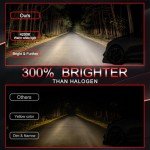 Honda Accord Halogen Headlight Bulb Replacement Kit