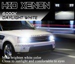 55W Heavy Duty HID Xenon Replacement Bulbs (H7)