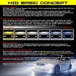 55W Heavy Duty HID Xenon Replacement Bulbs (H7)
