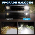 Chevy Silverado Halogen Headlight Bulbs Kit - 4 Pack